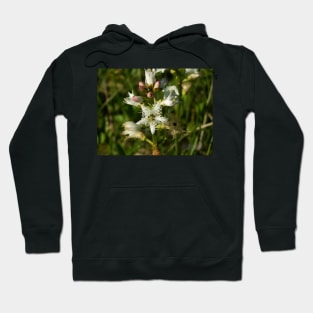 White flower Hoodie